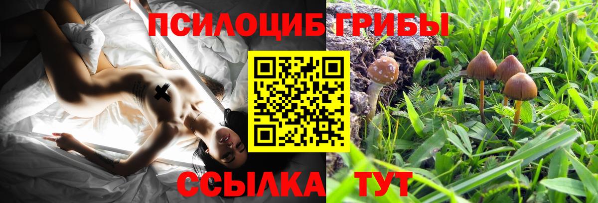 Тавда  Галлюциногенные грибы мицелий  Вход с VPN 
